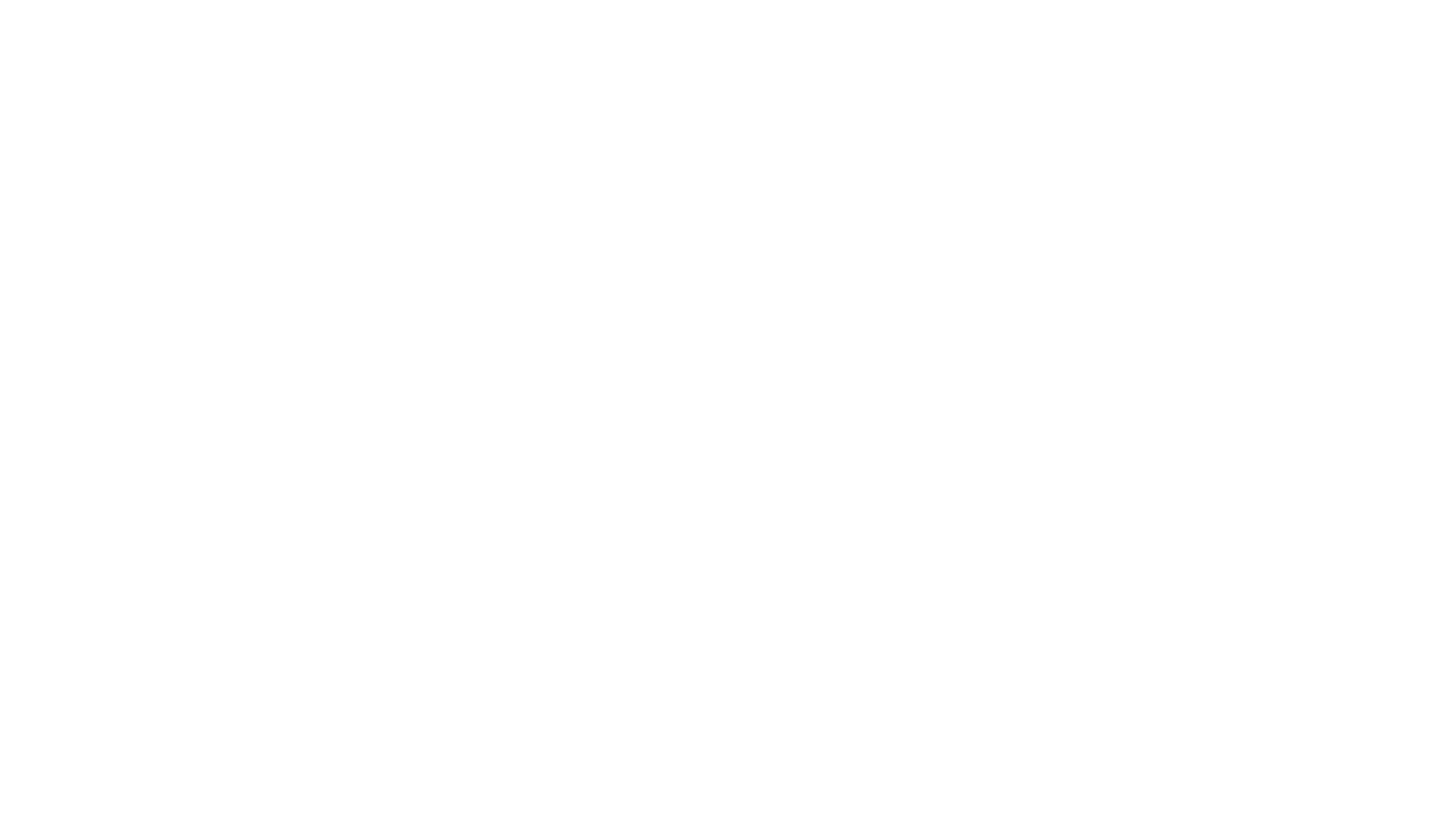 LOGO Nuria Almela blanco sin fondo e1705309558454.png